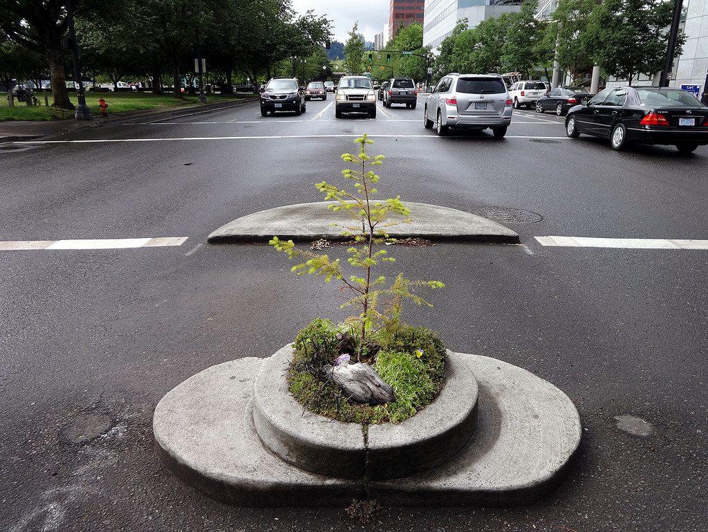 Mill Ends Park, the smallest park in the world, in Portland, OR