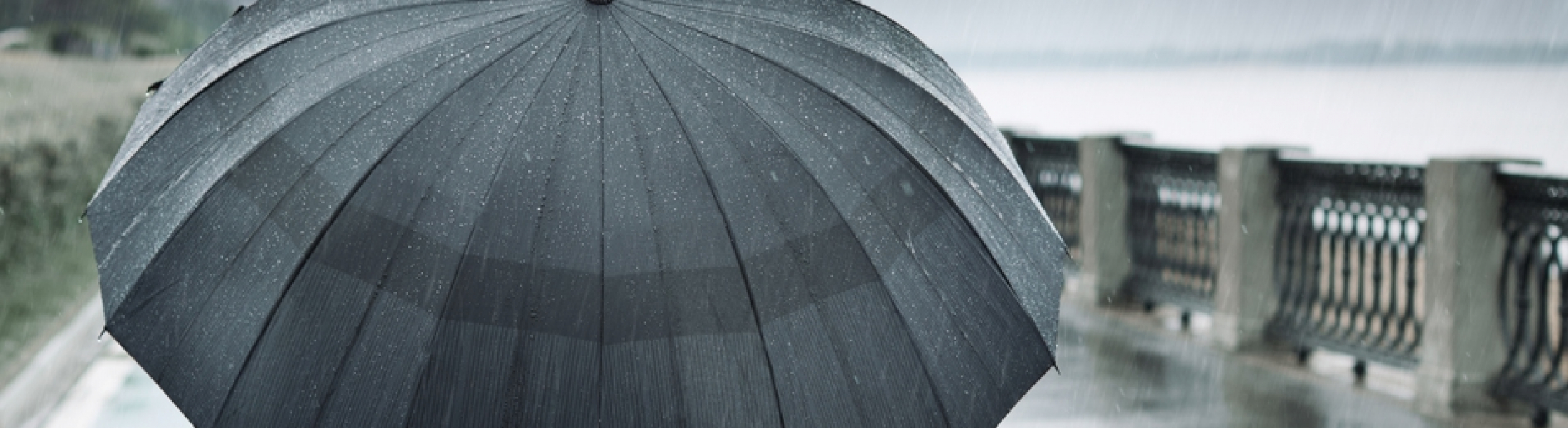 How Much Does it Rain in Portland, Oregon? Smooth Move People