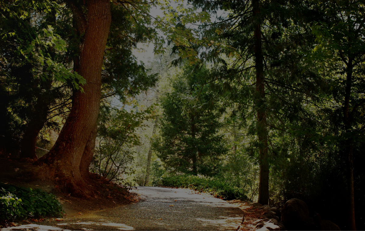 moving-to-tigard-smooth-move-people Moving to Tigard Smooth Move People